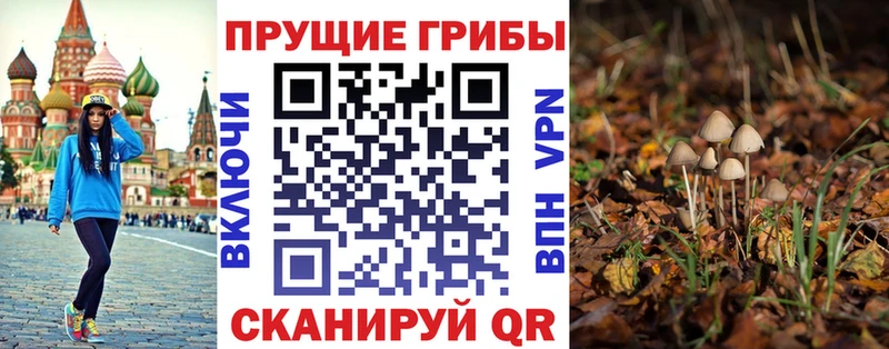 Купить закладки  Донской  Псилоцибиновые грибы ЛСД 